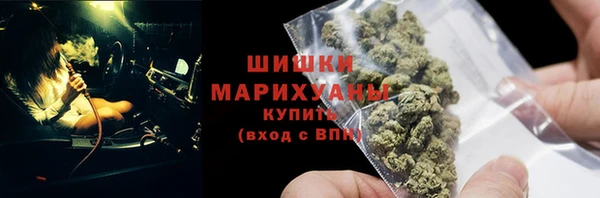 мет Дмитров