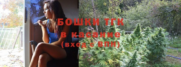 мет Дмитров