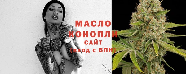 мет Дмитров