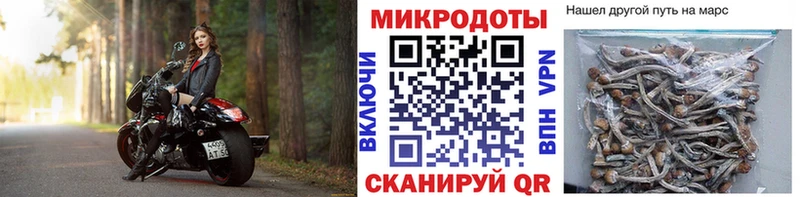 Псилоцибиновые грибы Psilocybe Купить закладки Прохладный