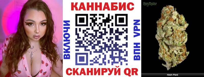 Купить  Прохладный  Канабис индика 
